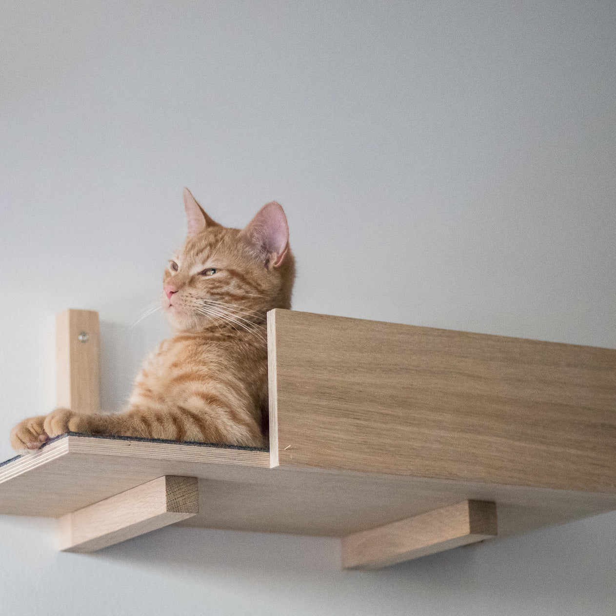 kissapuu cat wall shelf kissan seinahylly