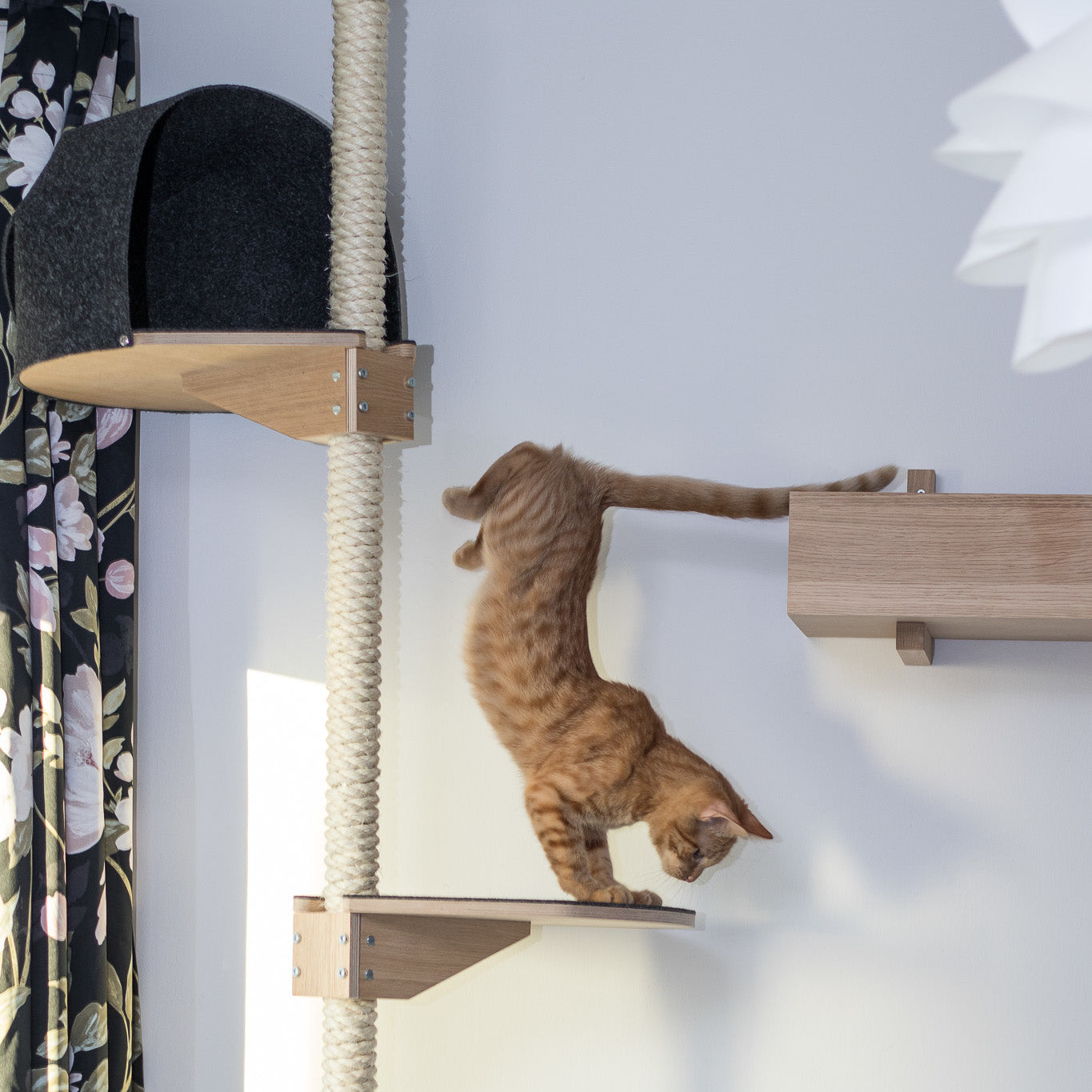 kissapuu tukeva kissan kiipeilypuu sturdy cat tree