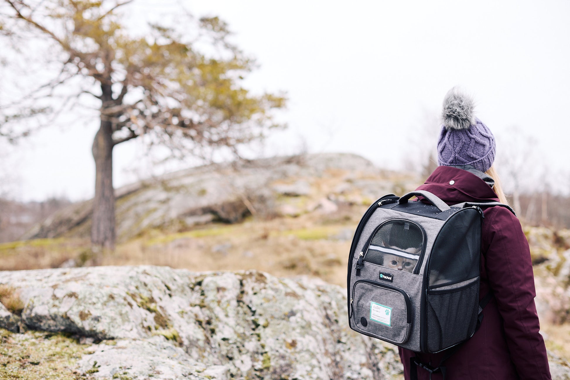 Kissapuu_cat_backpack_kissan_selkareppu_kissan_kanssa_matkustaminen_travelling_with_a_cat
