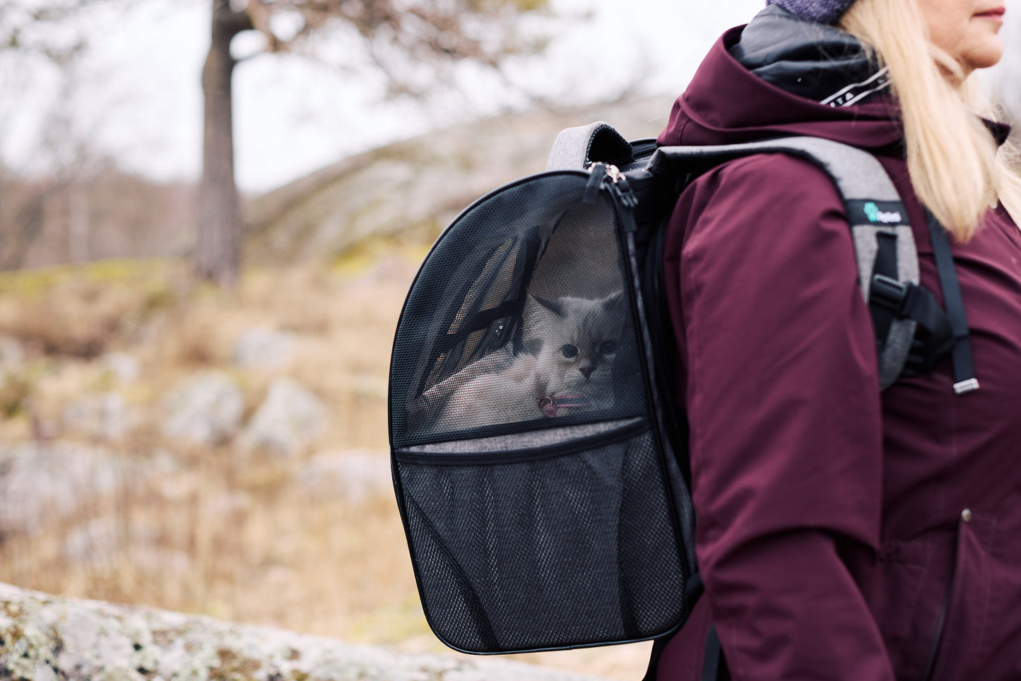 Kissapuu_cat_backpack_kissan_selkareppu_kissan_kanssa_matkustaminen_travelling_with_a_cat