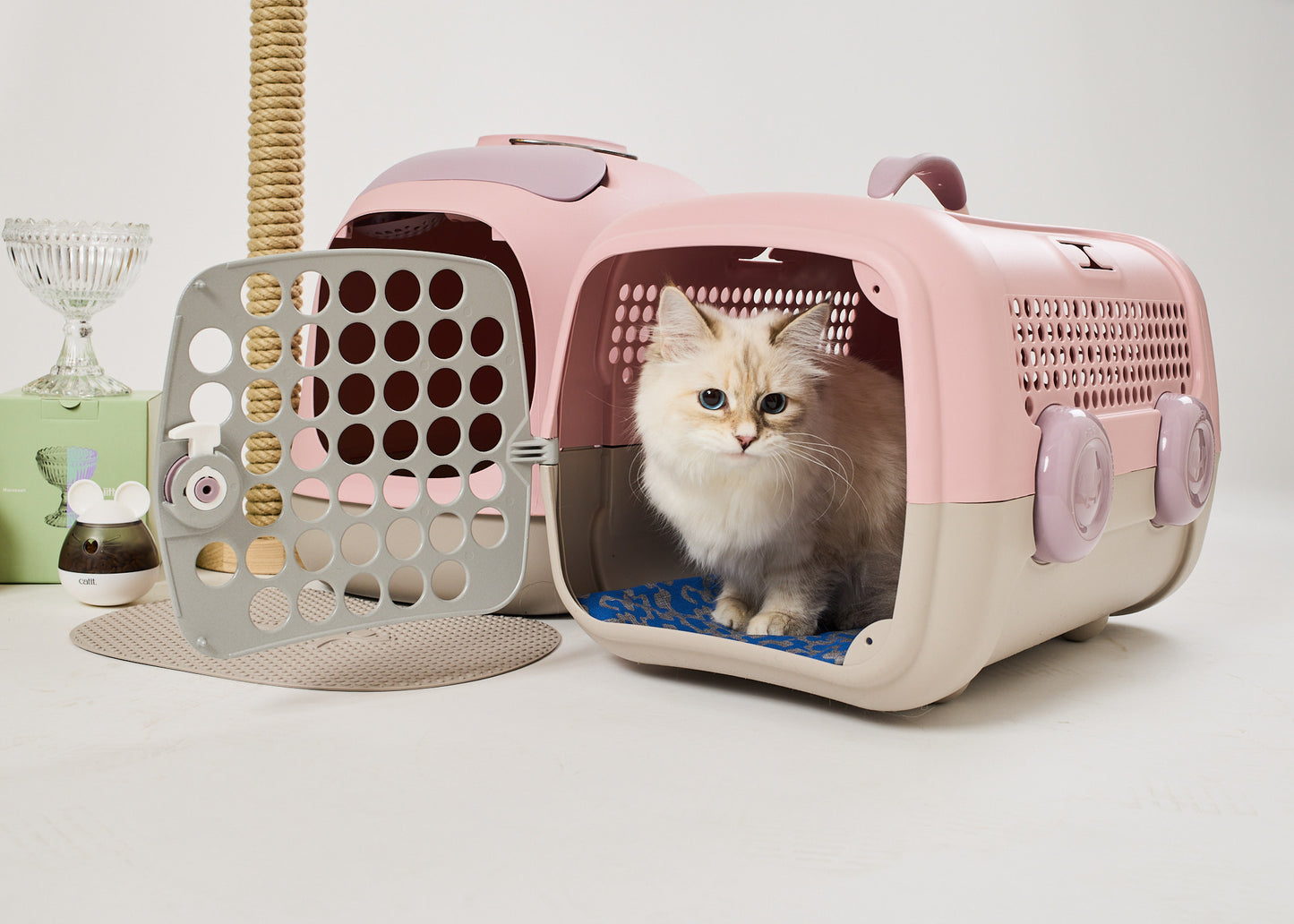Kissapuu_cat_carrier_kissan_kuljetuslaatikko