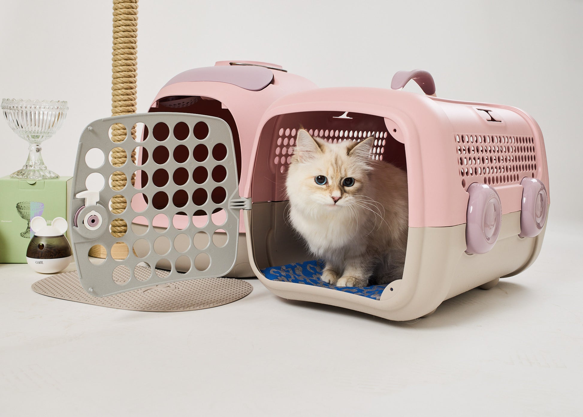 Kissapuu_cat_carrier_kissan_kuljetuslaatikko