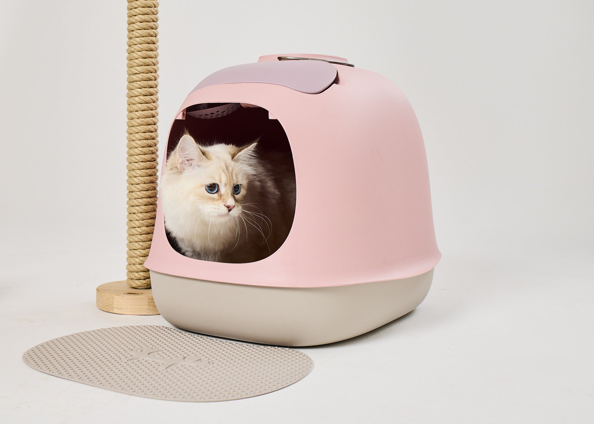 kissapuu_kissan_tyylikas_design_hiekkalaatikko_sylish_design_cat_litter