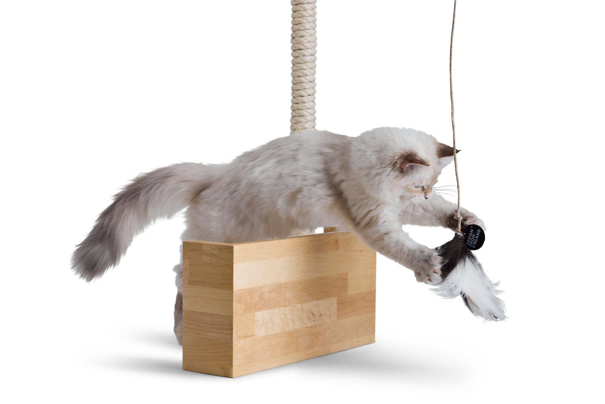 kissapuu_kissan_aktivointi_cat_activation