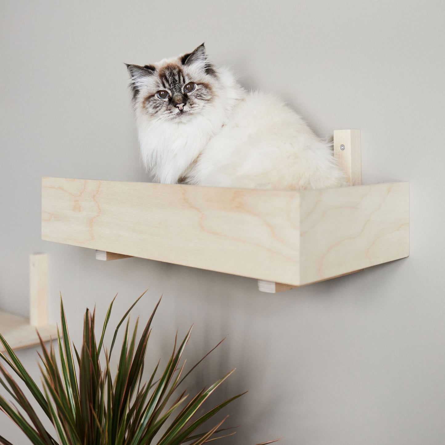 Kissapuu cat wall shelf, corner edge