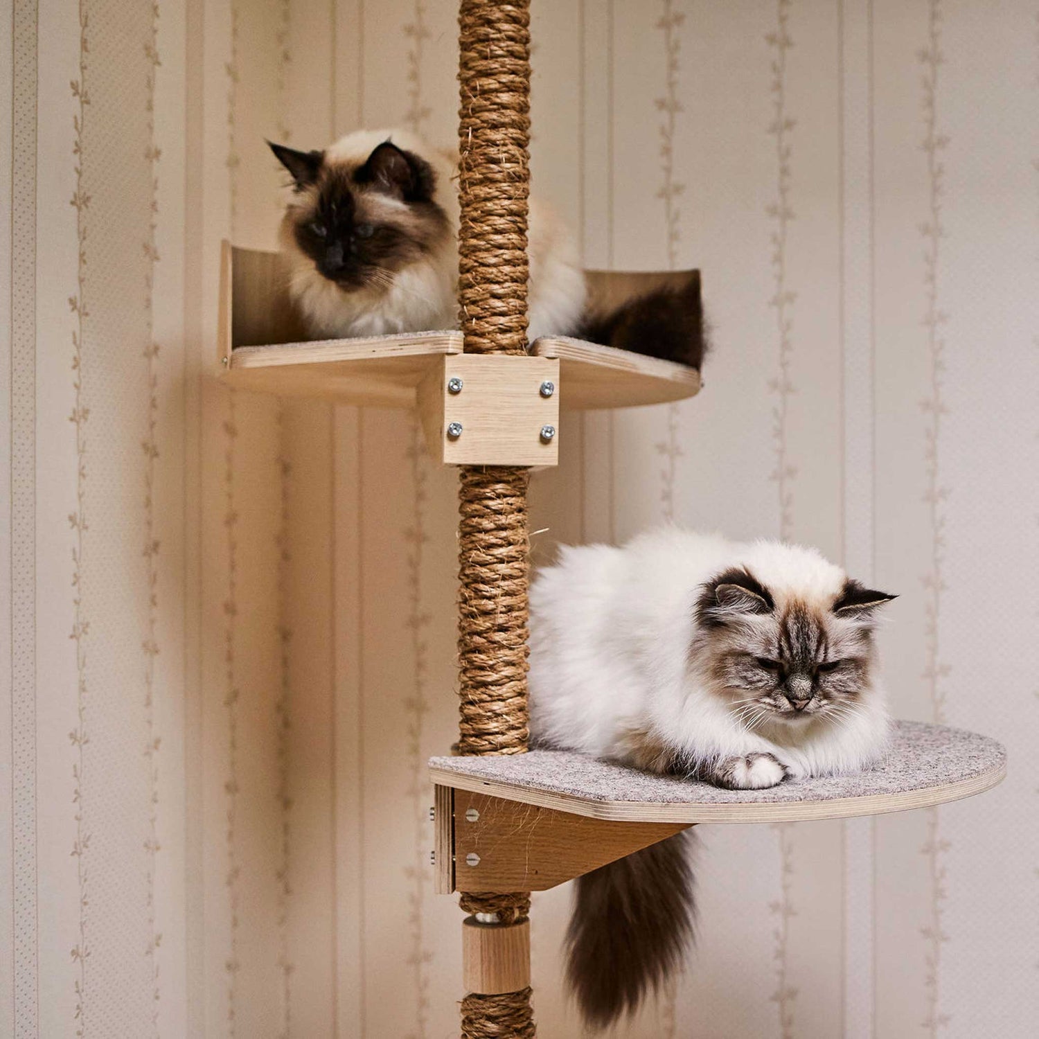 stylish design cat climbing tree tyylikas design kissan kiipeilypuu