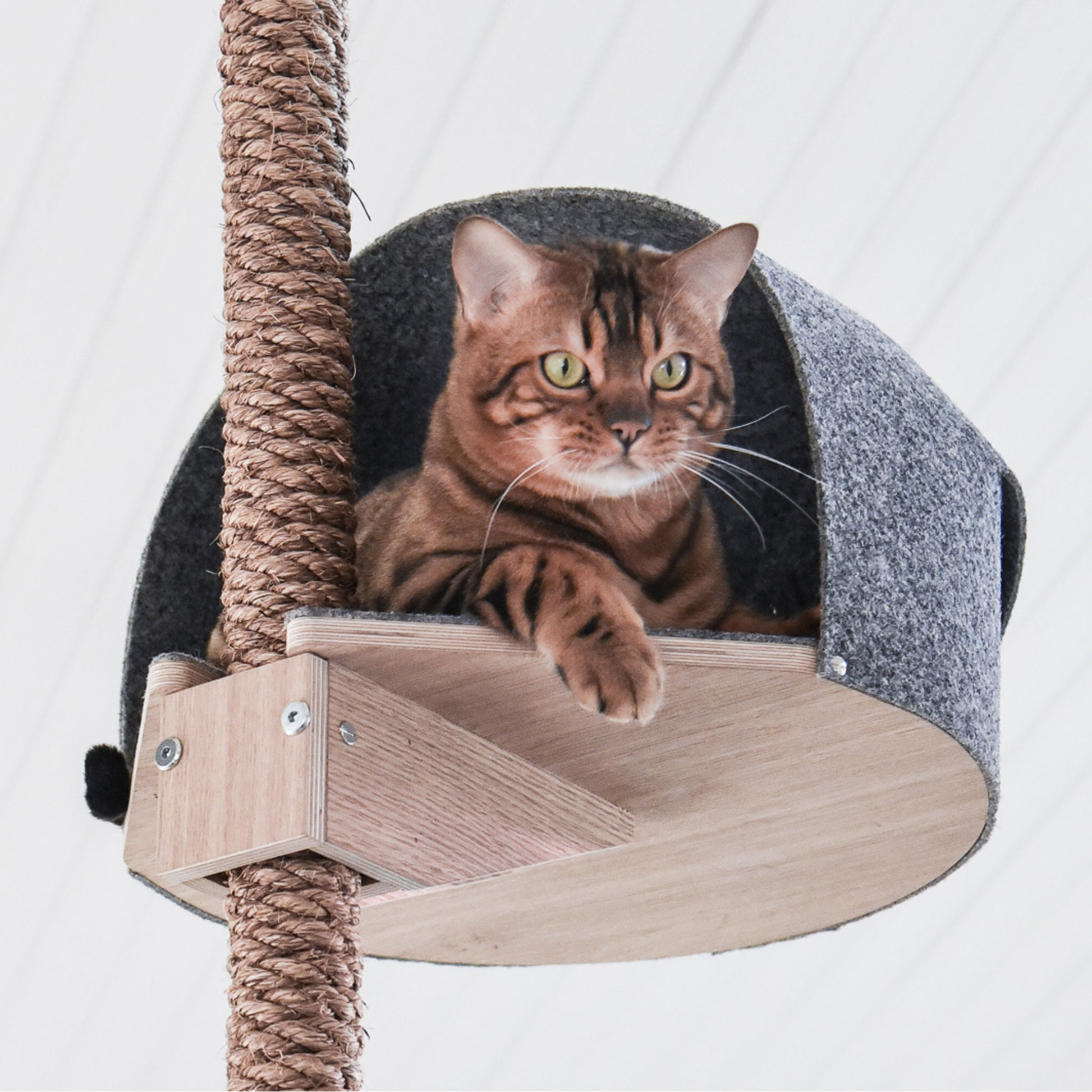 kissapuu kissan kiipeilypuu cat tree cat climbing tree cat tower