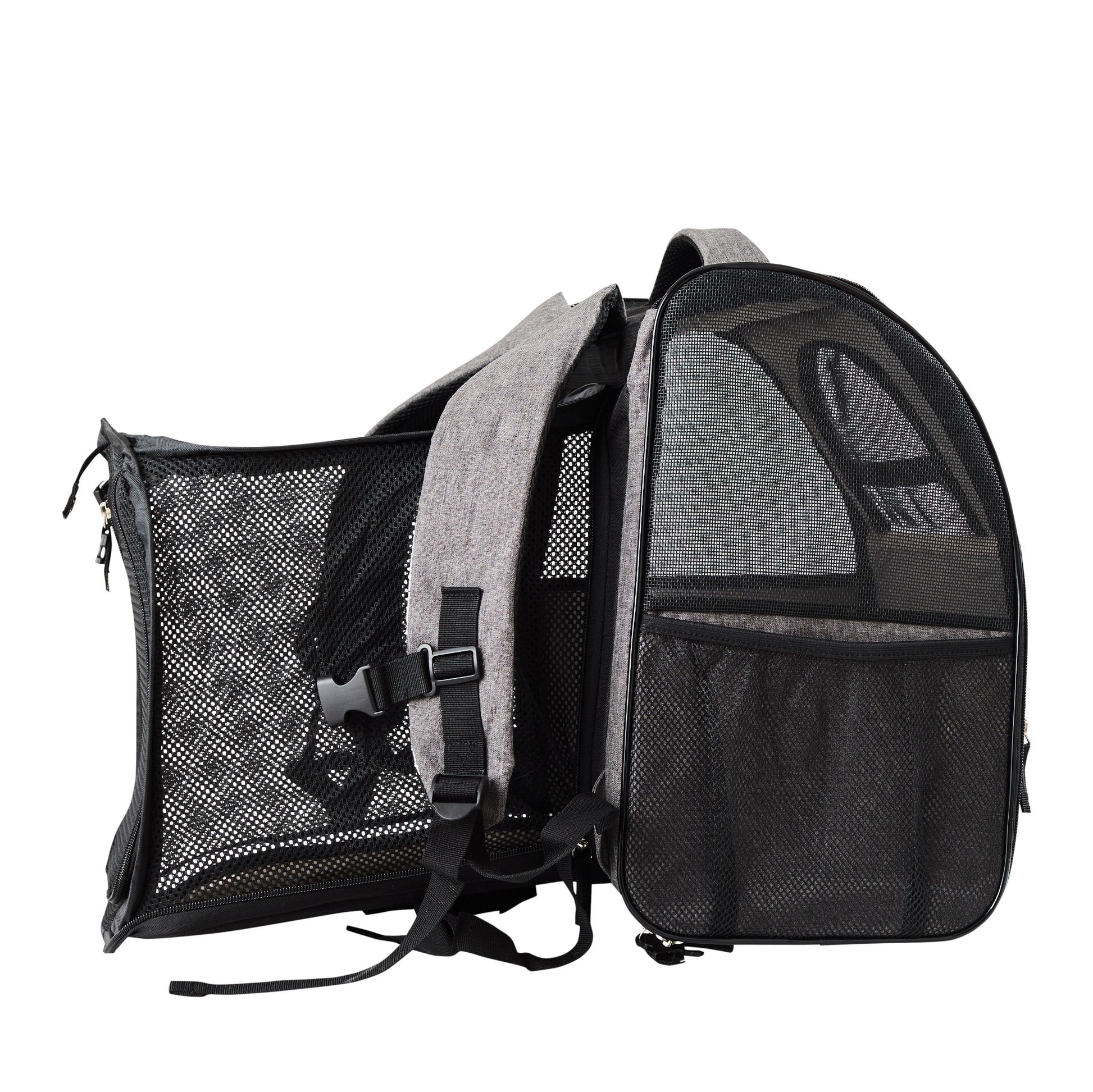 Kissapuu_cat_travelling_in_a_backapack_kissa_matkustaa_repussa