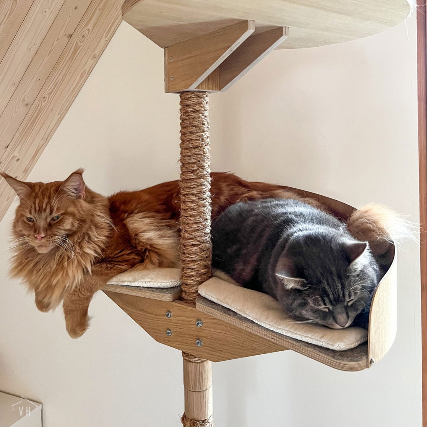 Kissapuu cat tree platform for big cats kissapuun tuplataso isoille kissoille