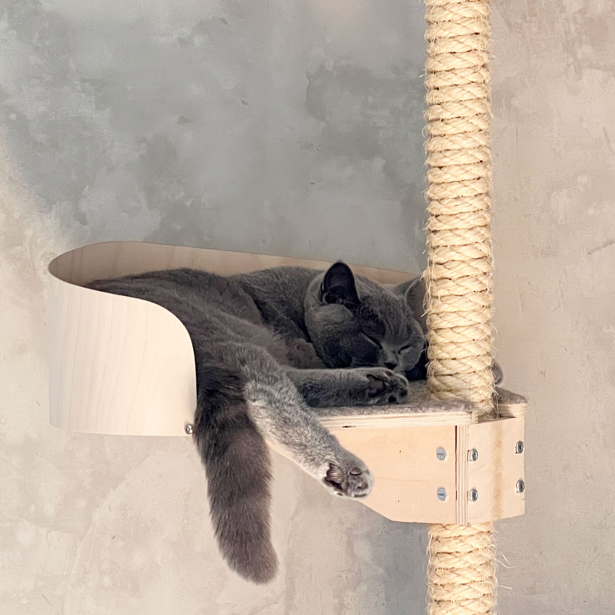 stylish cat climbing tree tyylikäs kissan kiipeilypuu