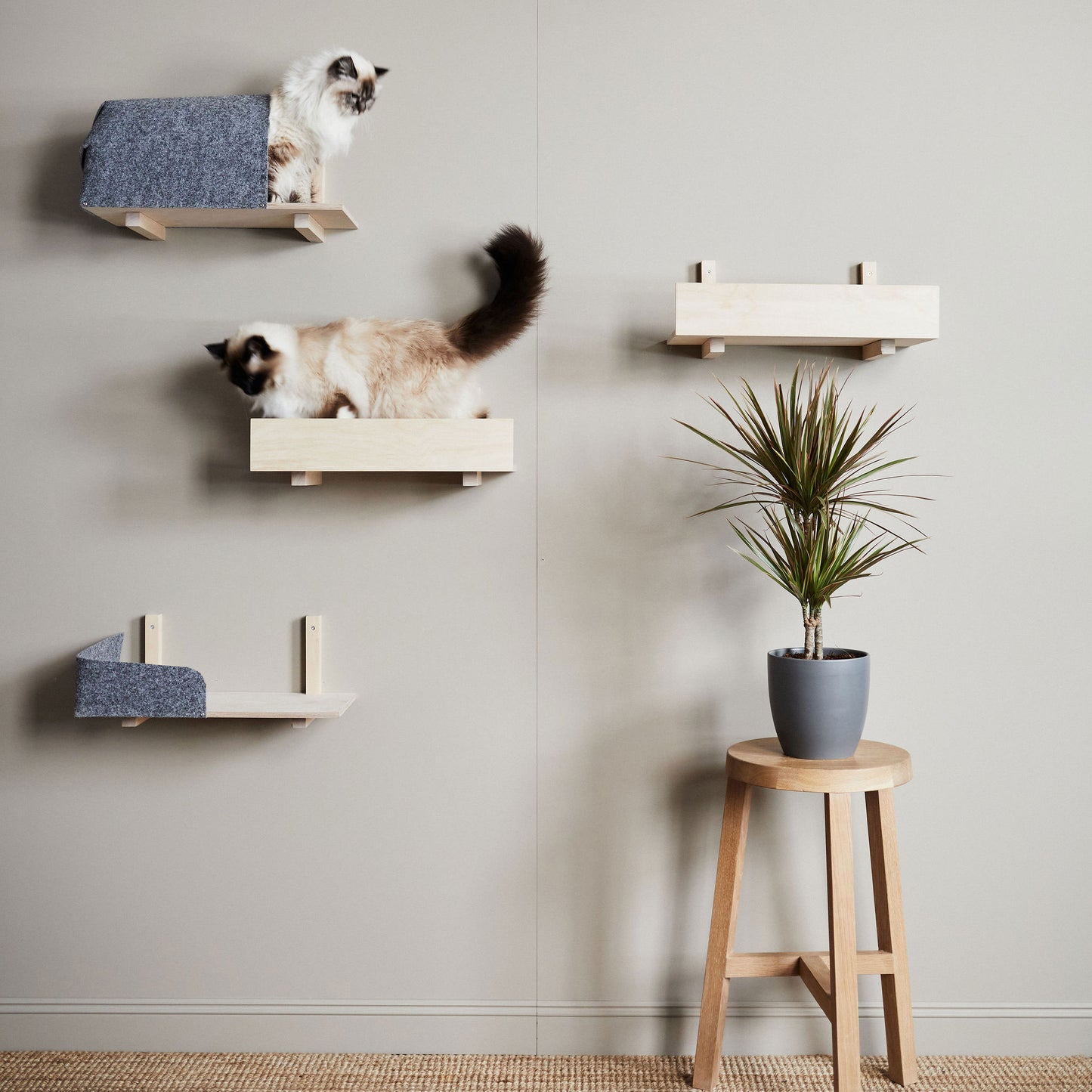 Kissapuu cat wall shelf, felt edge
