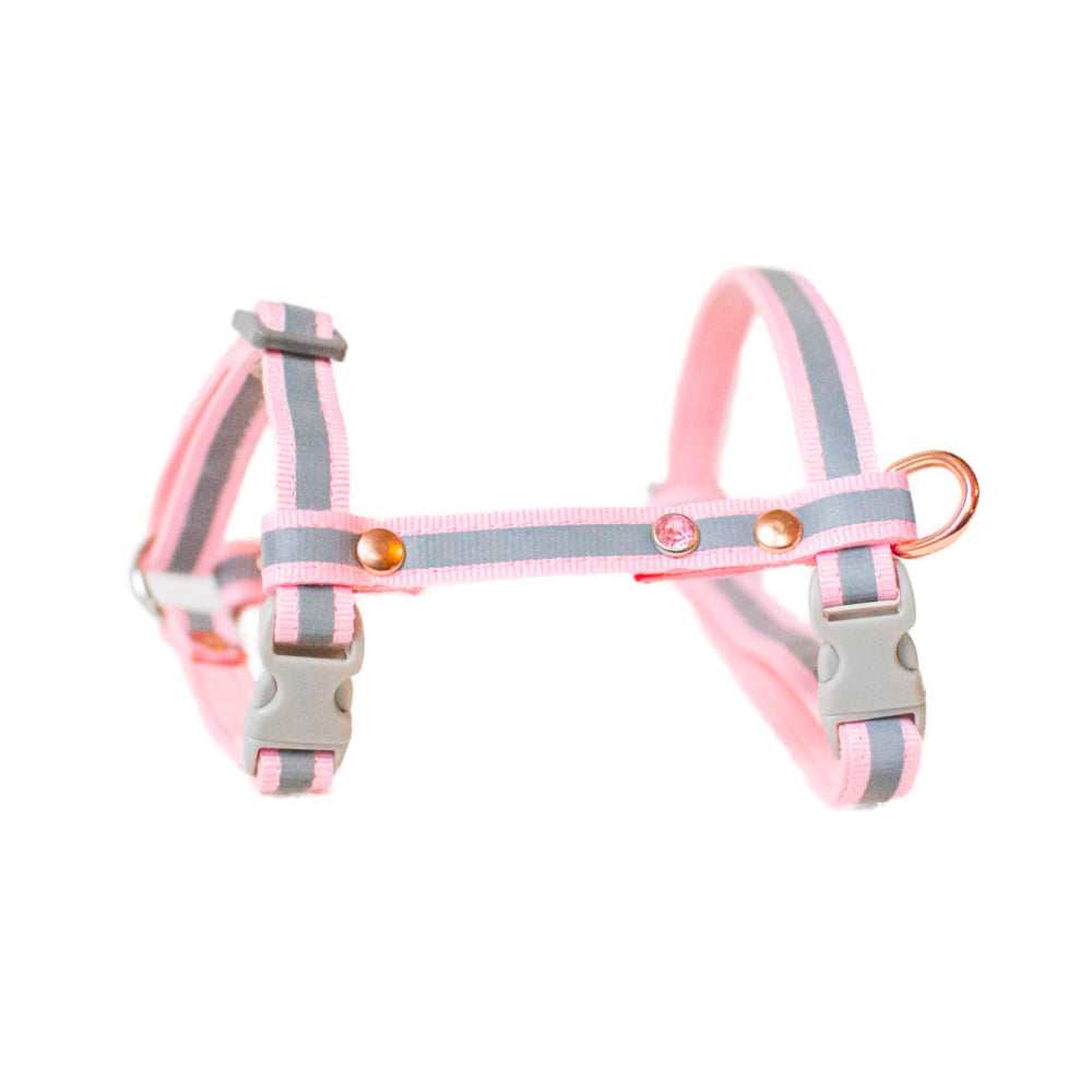 Cat harness Lavellas