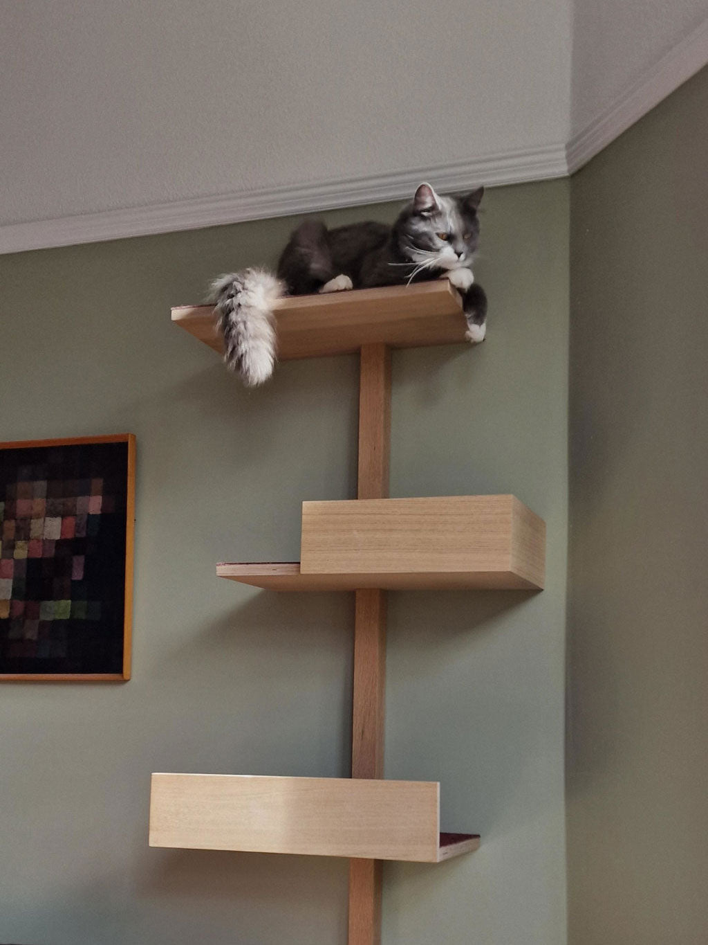 kissapuu ladder, kissapuu wall shelves, kissapuun tikapuut, kissan seinähyllyt, kissan seinäkiipeily, cat wall climbing