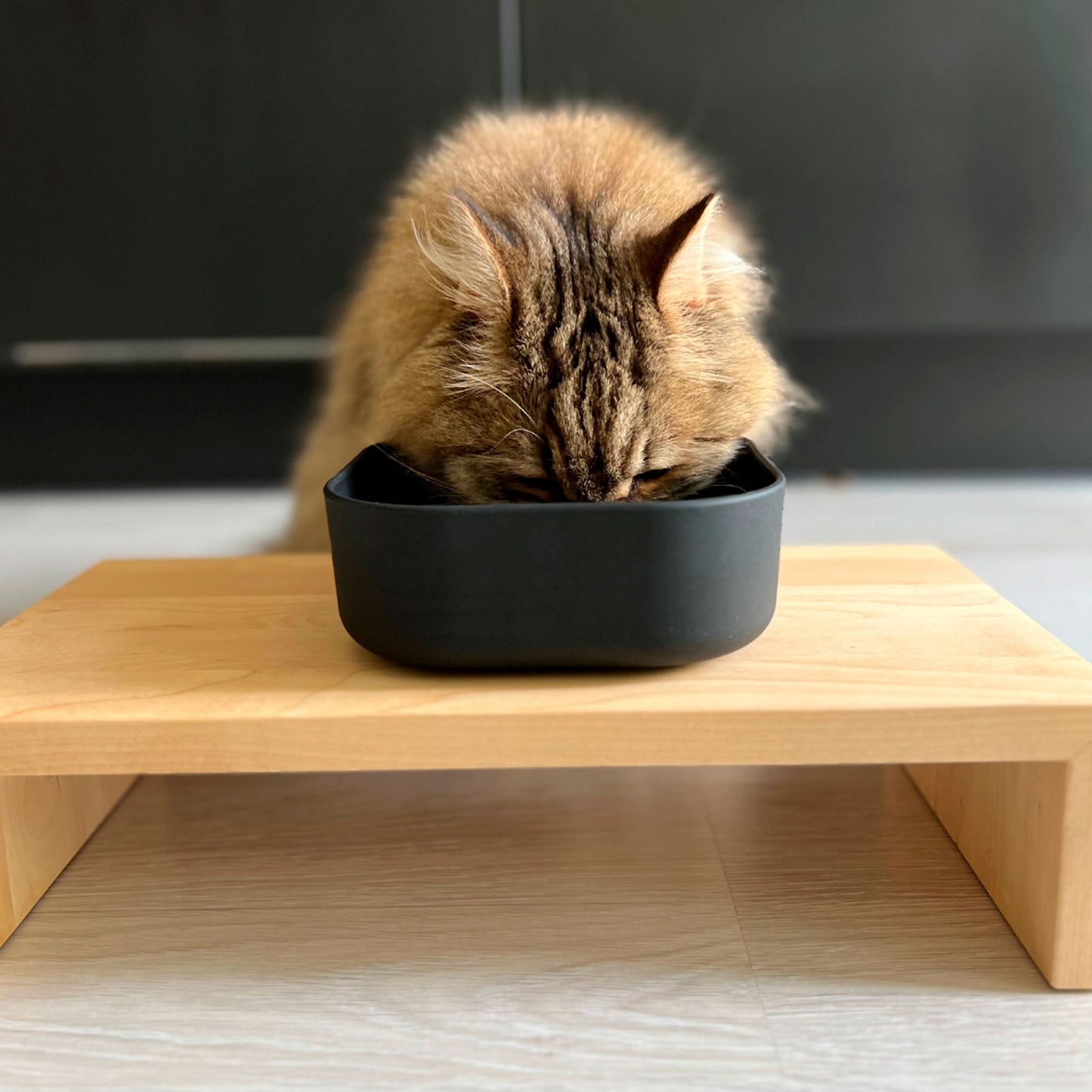 Kissapuu cat feeding table, no edge