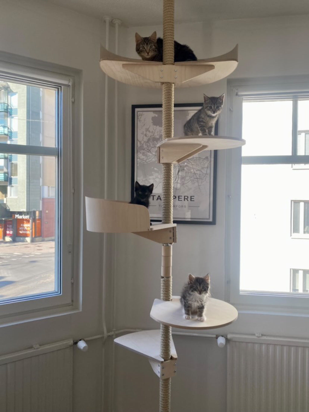 cat_climbing_tree_stylish_cat_furniture_design_cat_tree_tyylikas_kissapuu_design_kiipeilypuu