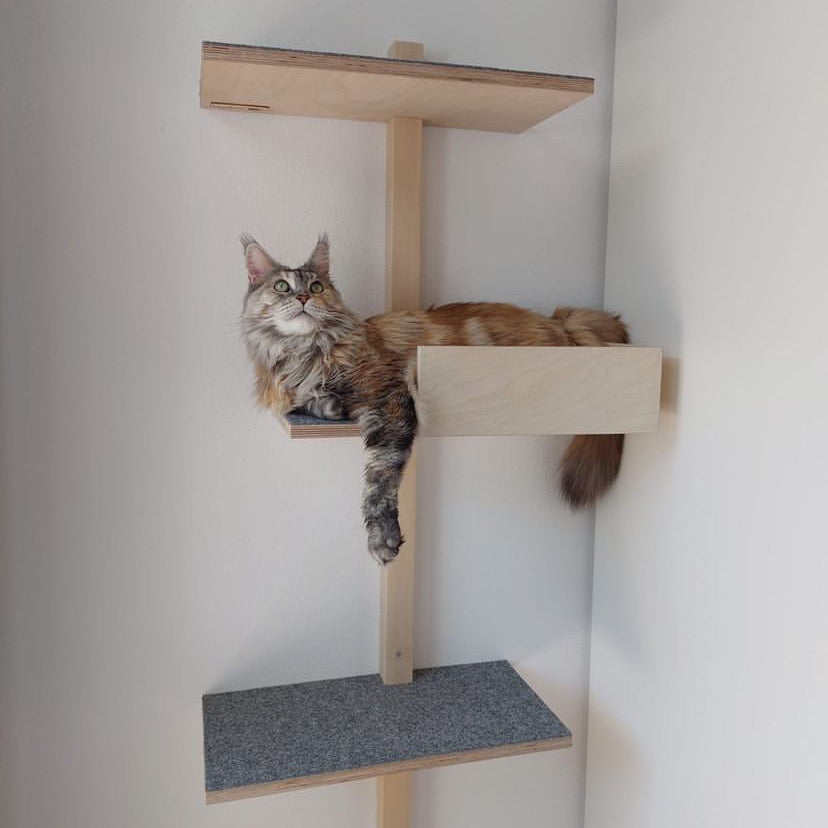 cat wall shelf for maine coons kissan seinähylly maine coonille
