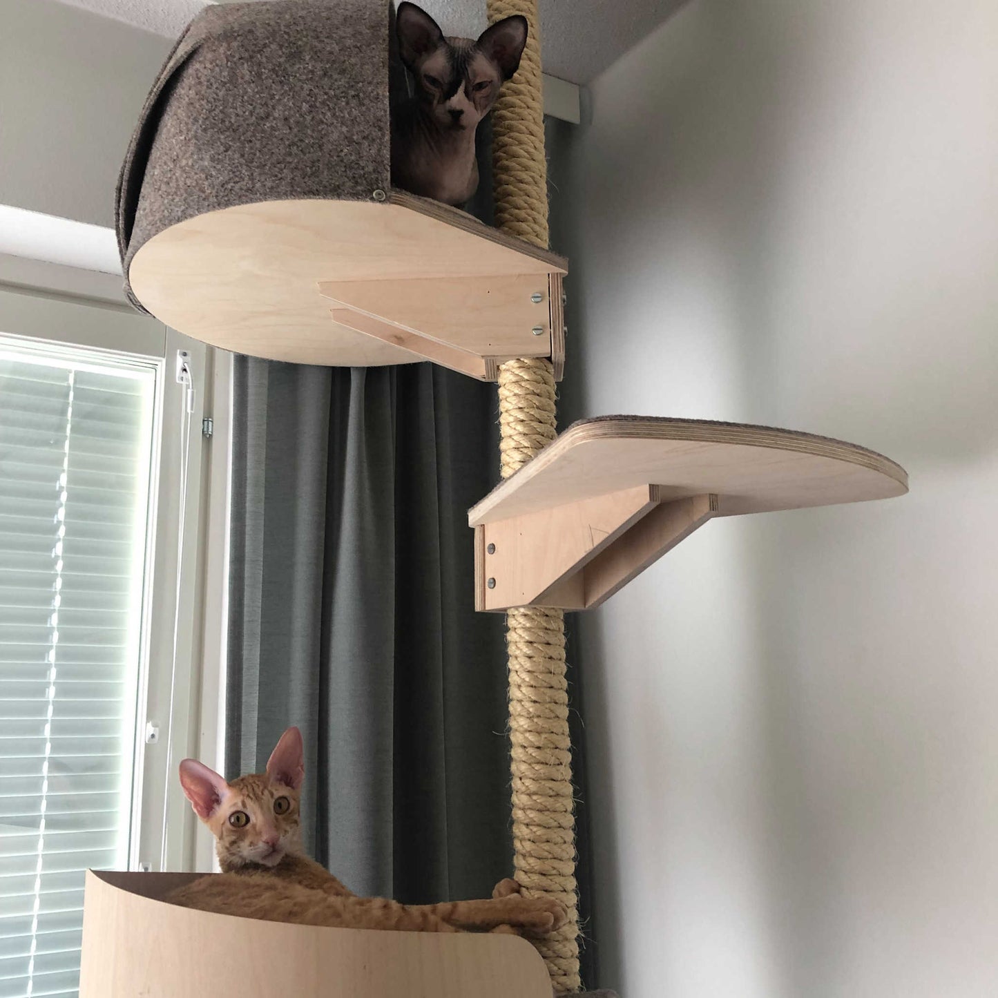 floor to ceiling cat tree cat climbing tree for big cats