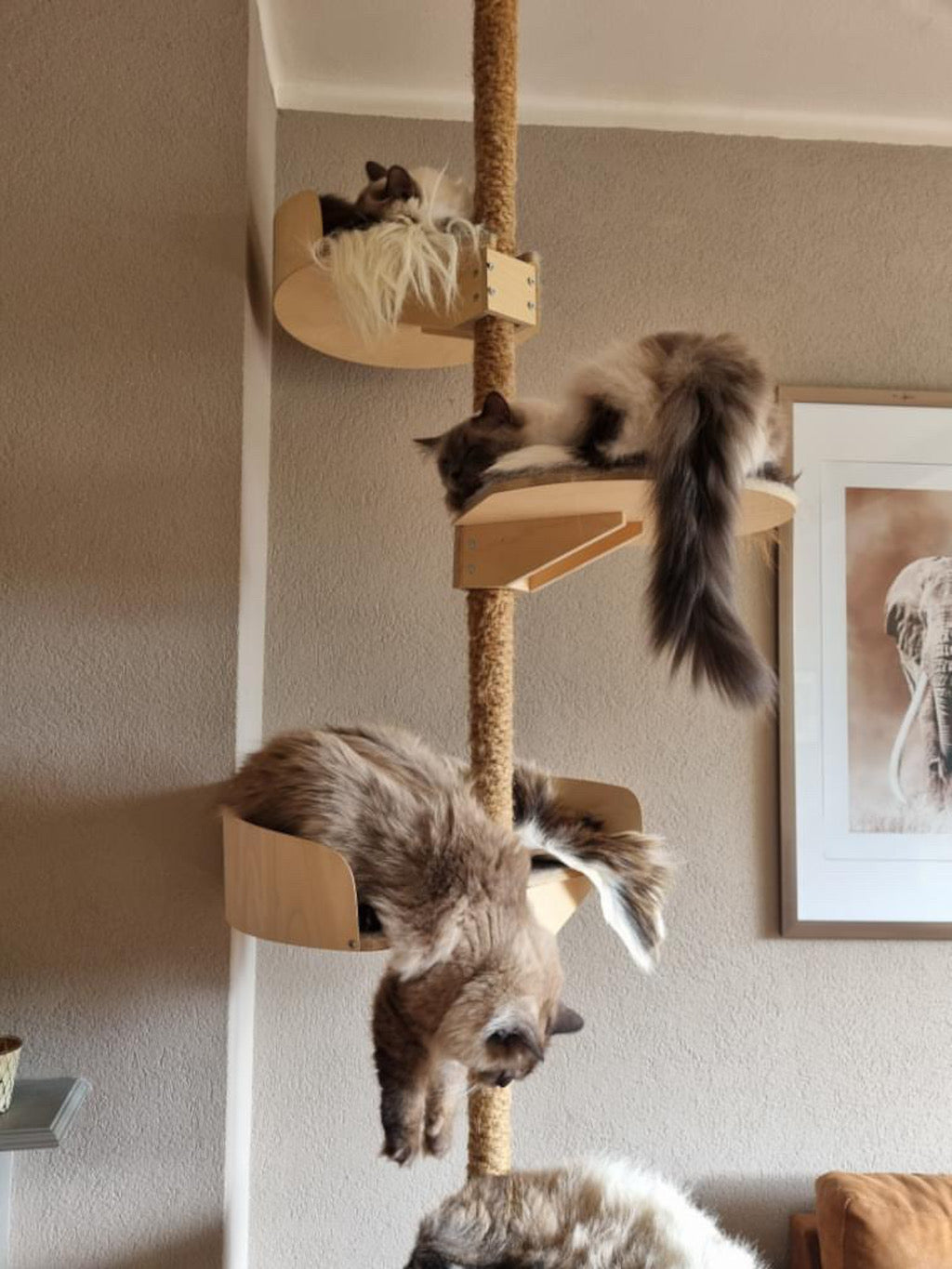 cat_climbing_tree_stylish_cat_furniture_design_cat_tree_tyylikas_kissapuu_design_kiipeilypuu