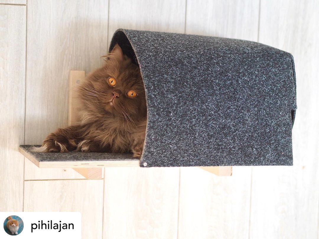 kissapuu cat wall shelf igloo kissan seinähylly iglu