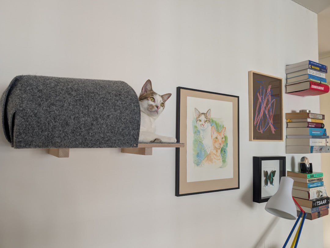 Kissapuu cat wall shelf, igloo