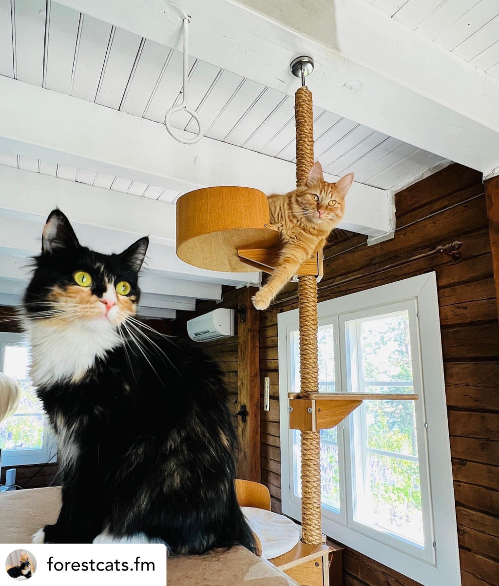 cat_climbing_tree_stylish_cat_furniture_design_cat_tree_tyylikas_kissapuu_design_kiipeilypuu