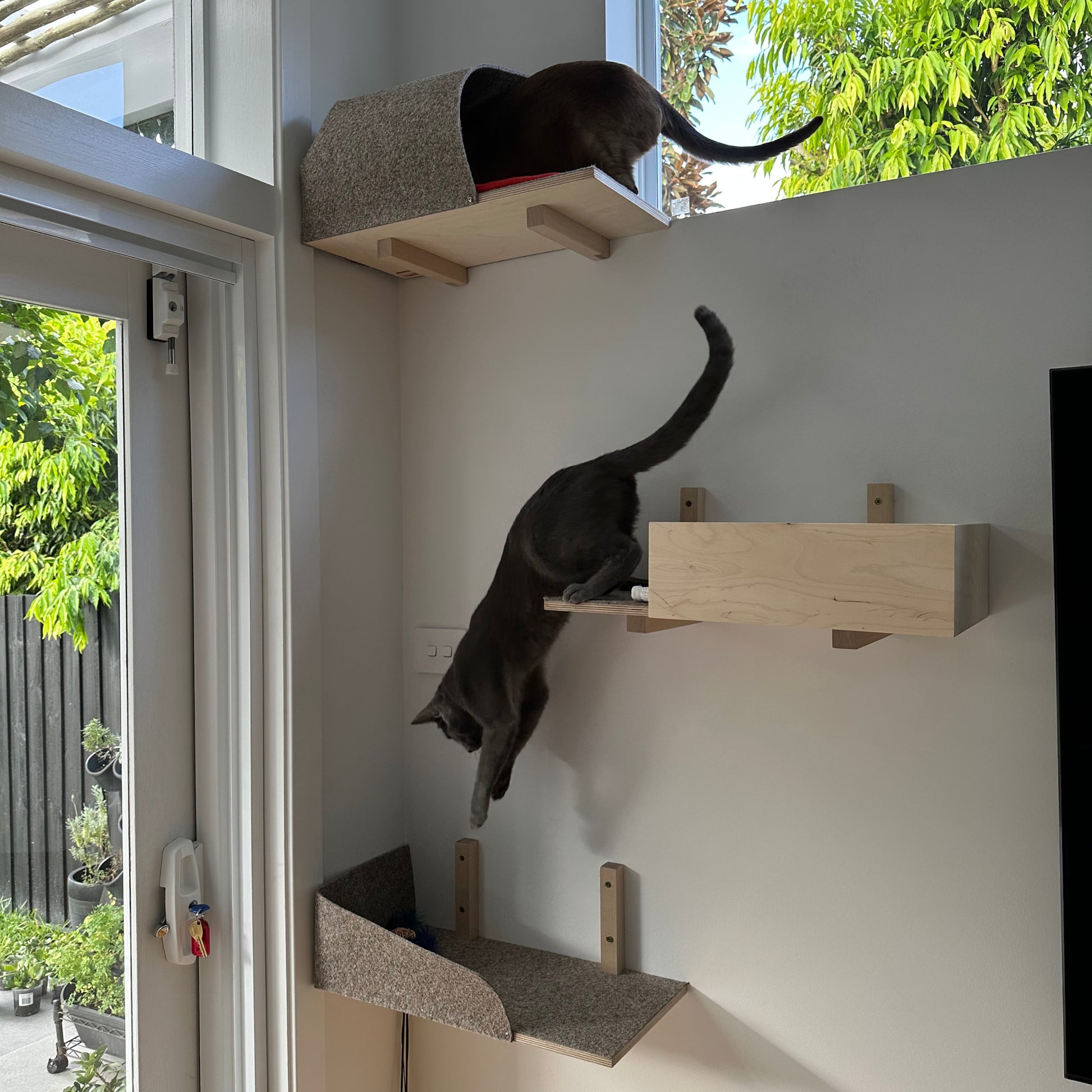 cat wall shelves parkour wall kissan kiipeilyseina