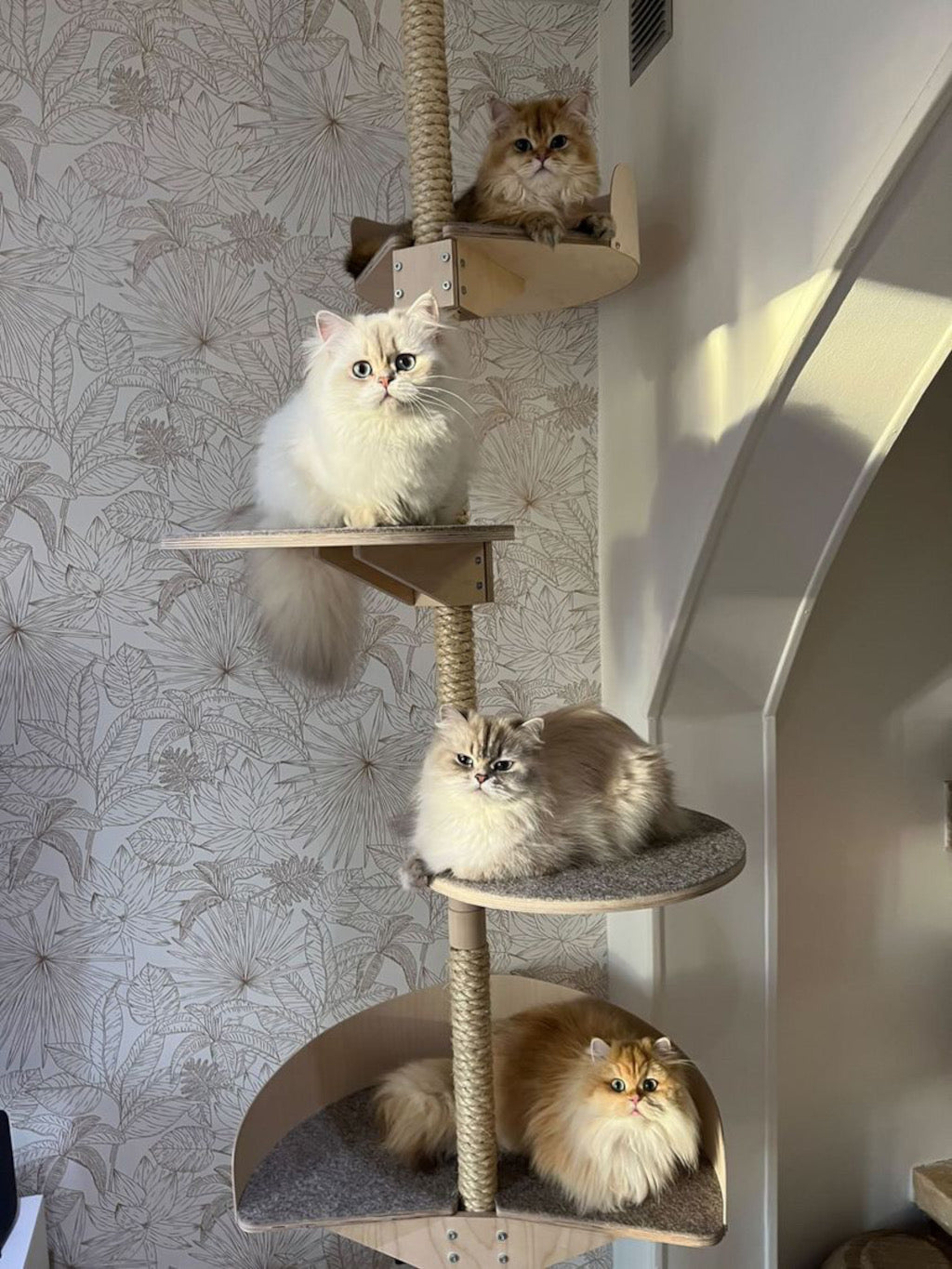 multiple_level_cat_tree_for_many_cats_cat_tower_monitasoinen_kissan_kiipeilypuu