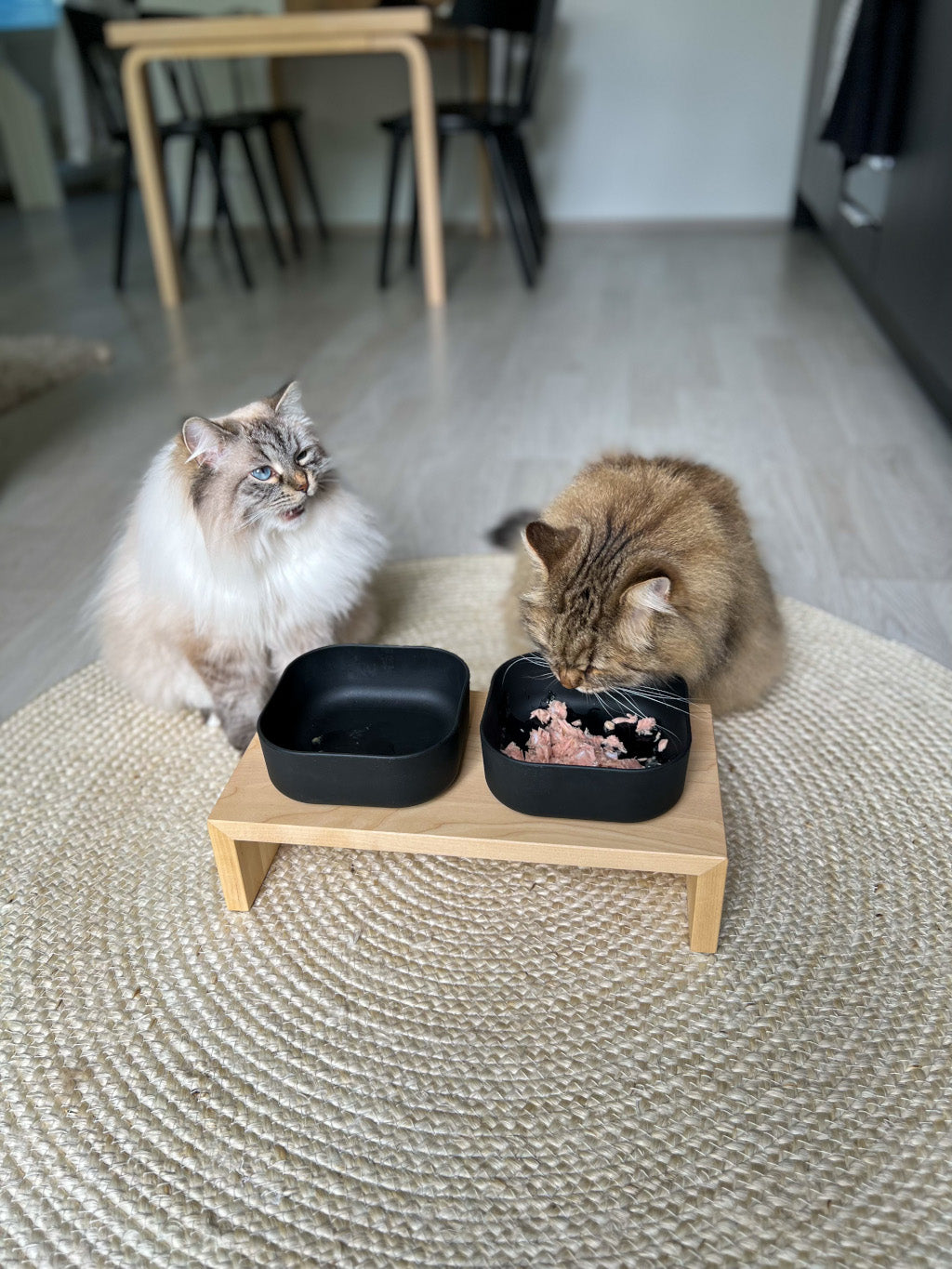 ruokailutasot_lemmikeille_cat_food_stands_and_food_bowls